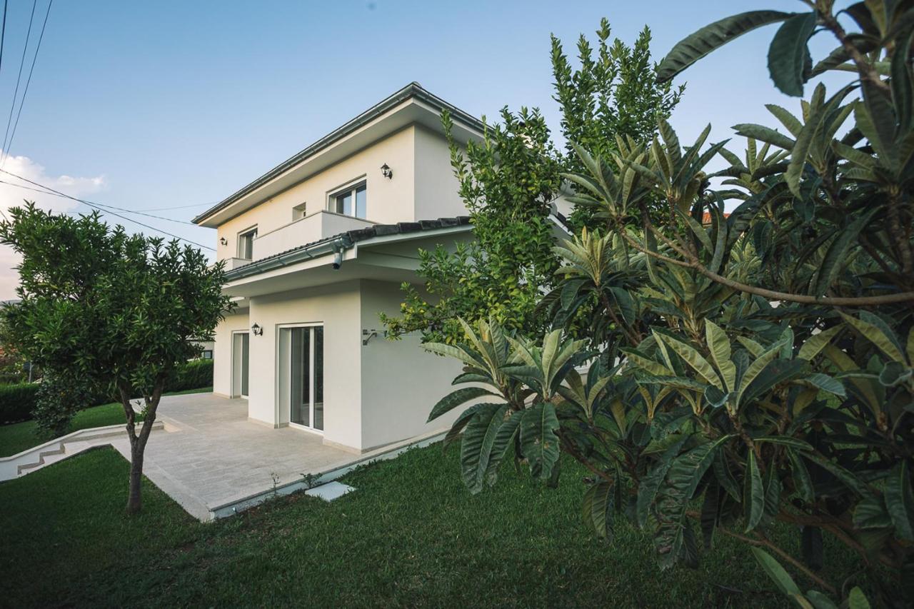 Alvito  Prestigio Home מראה חיצוני תמונה